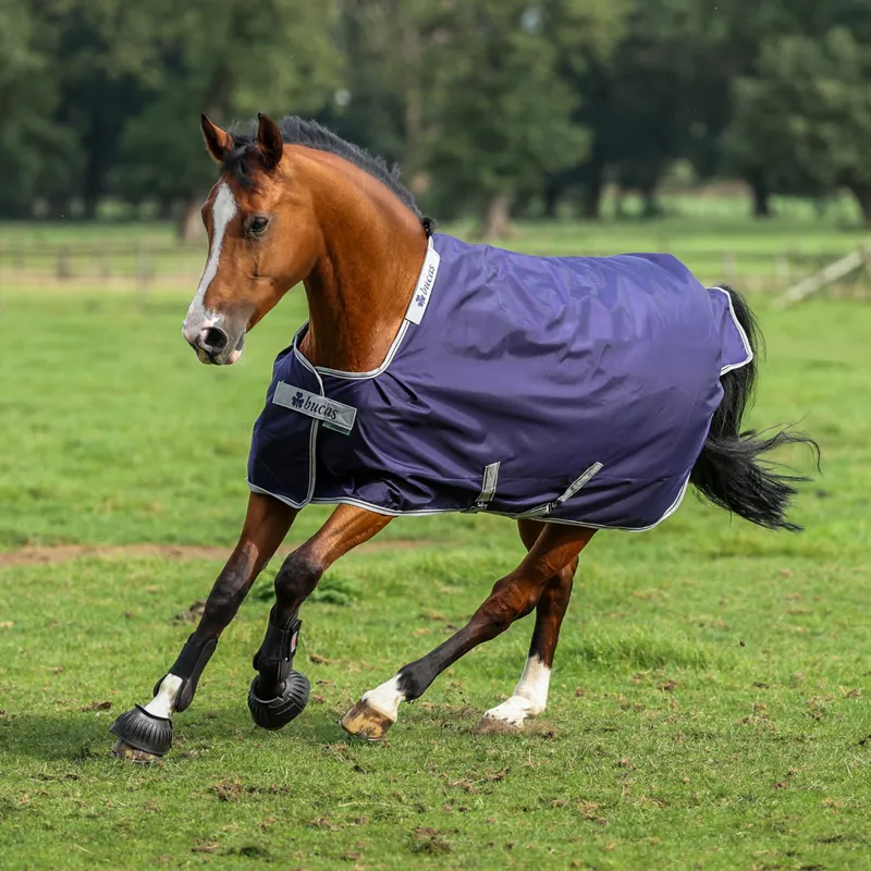 Bucas Atlantic 200g Pony Turnout - Navy/Silver